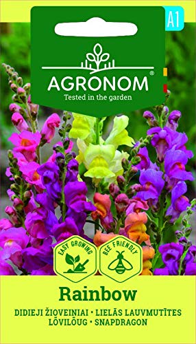 AGRONOM | GROSSES LÖWENMAUL RAINBOW | Blumenssamen | Einjährige Blumen mit originellen Blüten | Blumengärten samen | 1 Pack AGRONOM | GROSSES LÖWENMAUL RAINBOW | Blumenssamen | Einjährige Blumen mit originellen Blüten | Blumengärten samen | 1 Pack von AGRONOM Tested in the garden