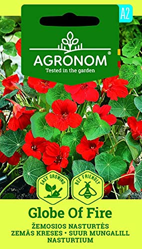 AGRONOM | KAPUZINERKRESSE GLOBE OF FIRE | Blumenssamen | Leicht zu ziehende Pflanze | Einjährige Pflanze | Pflanze samen | Für Beet, Balkon, als Zaunbewuchs | 1 Pack AGRONOM | KAPUZINERKRESSE GLOBE OF FIRE | Blumenssamen | Leicht zu ziehende Pflanze | Einjährige Pflanze | Pflanze samen | Für Beet, Balkon, als Zaunbewuchs | 1 Pack von AGRONOM Tested in the garden