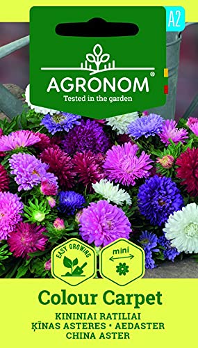 AGRONOM | SOMMERASTER COLOUR CARPET | Blumenssamen | Pflanze samen | Für Blumengärten mit einjährigen Pflanzen, Balkon, Grabbepflanzung, Beet und Topf geeignet | 1 Pack AGRONOM | SOMMERASTER COLOUR CARPET | Blumenssamen | Pflanze samen | Für Blumengärten mit einjährigen Pflanzen, Balkon, Grabbepflanzung, Beet und Topf geeignet | 1 Pack von AGRONOM Tested in the garden