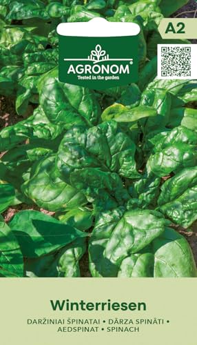 AGRONOM | SPINAT - WINTERRIESEN samen | Spinatsamen | Wächst auch bei niedrigeren Temperaturen gut | Eine mittelfrühe reichtragende Sorte | Pflanze samen | Gardensamen | 1 Pack AGRONOM | SPINAT - WINTERRIESEN samen | Spinatsamen | Wächst auch bei niedrigeren Temperaturen gut | Eine mittelfrühe reichtragende Sorte | Pflanze samen | Gardensamen | 1 Pack von AGRONOM Tested in the garden