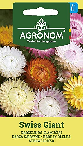 AGRONOM | STROHBLUME SWISS GIANT | Blumenssamen | Leuchtenden Blüten | Einjährige Pflanze | Pflanze samen | 1 Pack von AGRONOM Tested in the garden