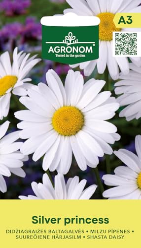 AGRONOM | Shasta-Margerite - SILVER PRINCESS samen | Blumensamen | Pflanze samen | Mehrjährige, reich und lang blühende Pflanze, die einfach zu kultivieren ist | Gartensamen | 1 Pack AGRONOM | Shasta-Margerite - SILVER PRINCESS samen | Blumensamen | Pflanze samen | Mehrjährige, reich und lang blühende Pflanze, die einfach zu kultivieren ist | Gartensamen | 1 Pack von AGRONOM Tested in the garden