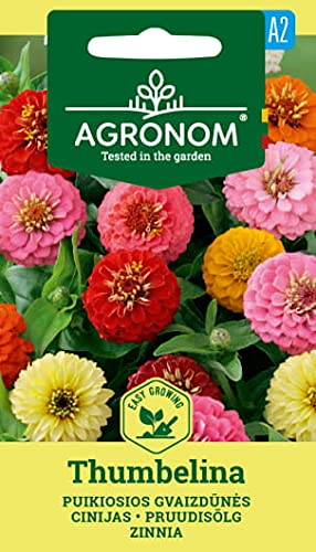 AGRONOM | ZINNIA THUMBELINA | Blumenssamen | Wächst gut in leichten Böden | Zinnia samen | 1 Pack AGRONOM | ZINNIA THUMBELINA | Blumenssamen | Wächst gut in leichten Böden | Zinnia samen | 1 Pack von AGRONOM Tested in the garden