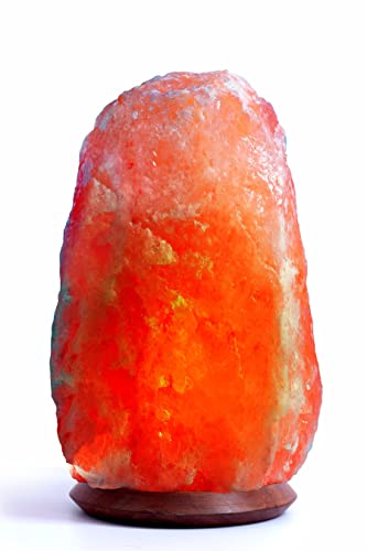 AGT Salzwelten Rosa KristallSalzlampe Salzleuchte Naturform 2-29 Kg inklusive Salzlampenfassung E14+ 2x Birne (15-18 Kg) von AGT Salzwelten