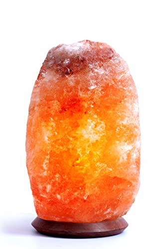 AGT Salzwelten Rosa KristallSalzlampe Salzleuchte Naturform inklusive Salzlampenfassung E14+ 2x Birne (13-15 Kg) von AGT Salzwelten