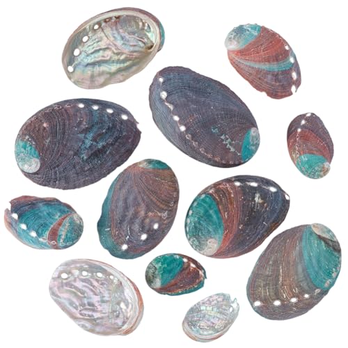 AHANDMAKER 12 Stück 6 Stile Natürliche Abalone Muscheln 38~80mm Große Räucherschalen Schillernde Räuchergefäß In Muschelform Für Heimdekorationen Kunsthandwerk von AHANDMAKER