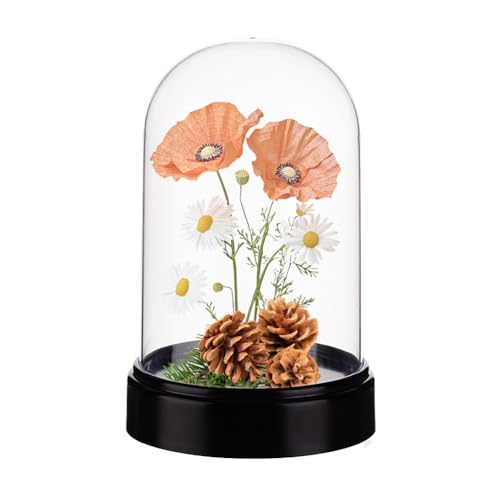AHANDMAKER Acryl Vitrine Kuppelglocke Globus 9.3 x 13.5cm Schwarzer Sockel Kristallkuppel Glocke Glas Vitrine Für Figuren Pflanzen Hochzeitsdekorationen von AHANDMAKER