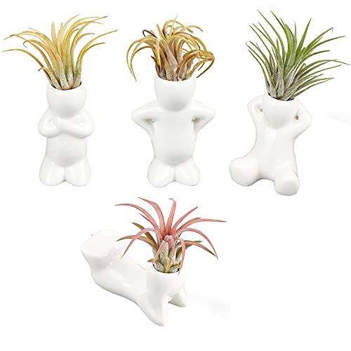 AHANDMAKER Mini Ceramic Air Plant Standhalter, 4 Stück Porzellanpuppenform Blumentöpfe, Keramikpuppe Tillandsia Airplant Container Pot In Unterschiedlicher Form Für Heimwerker-Heimdekorationsbedarf von AHANDMAKER