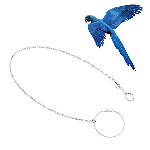AHANDMAKER Pet Bird Papagei Fußkette, Vogelfußständerkette Aus Edelstahl Mit Ring, Papagei Knöchel Fußring Zubehör (11.5mm) von AHANDMAKER