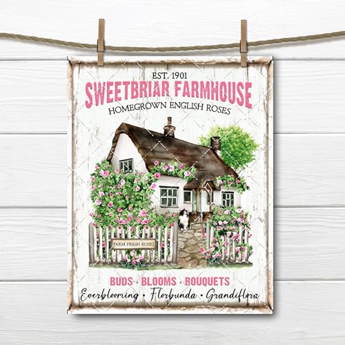 Blechschilder Farmhouse Roses Schild Farm Fresh Rose Rustikale Rose Cottage Rose Bauernhof Dekor Metallschild 20,3 x 15,2 cm Blechschilder Farmhouse Roses Schild Farm Fresh Rose Rustikale Rose Cottage Rose Bauernhof Dekor Metallschild 20,3 x 15,2 cm von AHEE