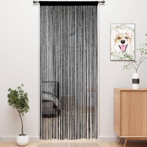 AHEJIOO 2 Stück Fadenvorhang Schwarz - 100 x 200 cm, Fadenvorhang Tür als Raumteiler, Fliegenschutz oder Dekoration, kürzbar und waschbar von AHEJIOO