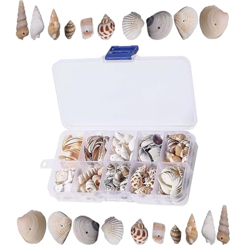 AHEJIOO 150 Stück Muscheln Deko Mit 1 Aufbewahrungsbox, Muscheln Zum Basteln, Muschel, Muschel Deko, Für Vase Füllstoffe, Strand Thema Party Hochzeit Dekor, DIY Kunsthandwerk,Fisch Panzer von AHEJIOO