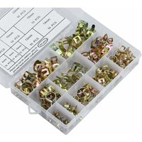 100 Stück Schlauchfederklemmen, 6–22 mm Benzinschlauchklemmen, Schlauchfederklemmen, verstellbare Klemmung zum Sichern von Weich- und von AHLSEN
