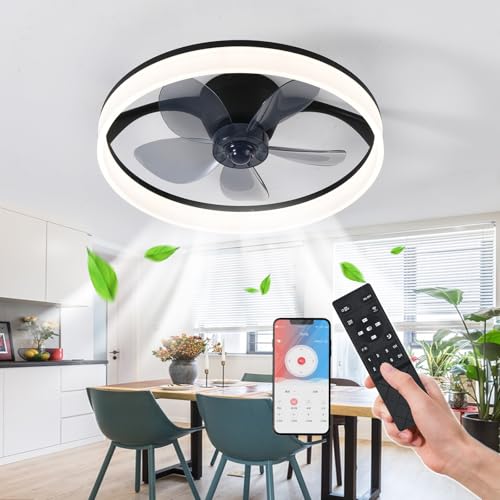 AHXIAOZN Deckenventilator mit Beleuchtung, LED Deckenventilator mit Lampe und Timer Fernbedienung, 6 Geschwindigkeiten Leise Dimmbar Ventilator Deckenlampe, Moderne Deckenventilator Licht (Schwarz) von AHXIAOZN