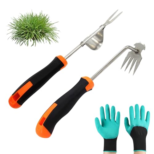 AIBAOBAO Unkrautstecher Edelstahl Wurzeljäter, 2 Pcs 35cm Unkraut Entferner Gerät mit Gartenhandschuhe Gartenarbeit Hand Unkrautstecher mit Stiel Gartenwerkzeug zum Graben Jäten Umpflanzen Entwurzeln von AIBAOBAO