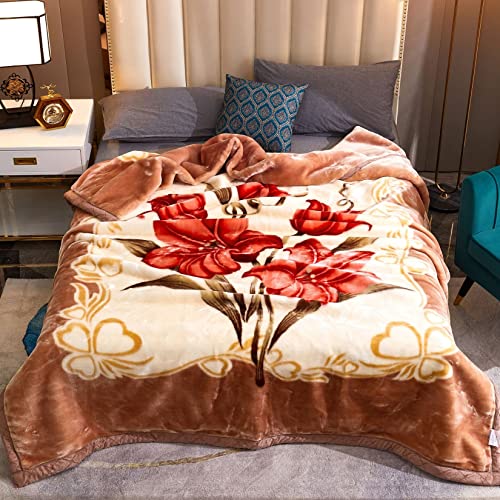 Schwere 2-lagige Reversible Nerz Decke Plüsch Samt Koreanische Art Blume Gedruckte Fleece Decke Seide Weiche Faux Pelz Raschel Bett Decke für Herbst Winter,2#,180x220cm/3kg von AIBOTY