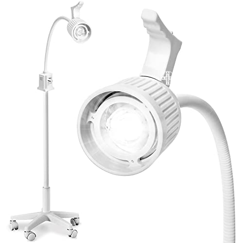 AIESI® Medizinische LED-Untersuchungslampe mit flexiblem Arm auf Ständer mit Schwenkrädern für medizinische Zwecke, Garantie 24 Monate von AIESI
