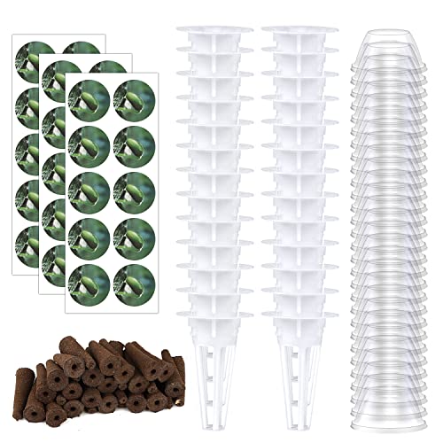 AIEX 120stk Hydroponische Anzuchtsysteme Kit, Einschließlich 30stk Hydroponische Pflanzkorb 30stk Hydroponische Isolierdeckel 30stk Pflanzenschwamm 30stk Etiketten für Pflanzen Hydrokultur Anbauset von AIEX