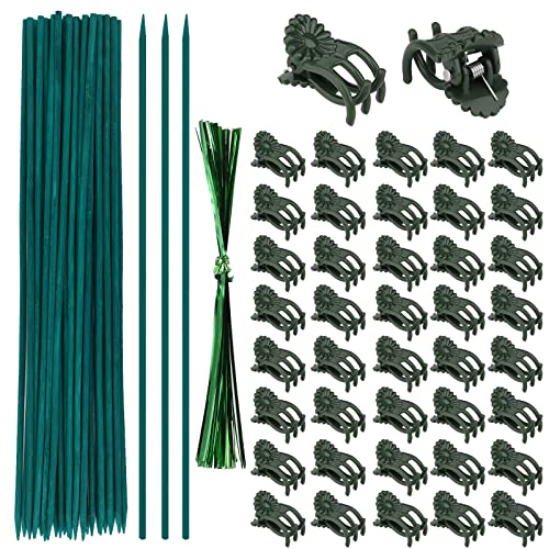 AIEX 40 Stück Orchideen Clips Schmetterling, Garten Klein Pflanzenclips Wand stäbe orchideenstab Kunststoff mit 40 Pflanzenstützen Pflanzenstäbe 40 Stück Metallic Twist Ties (38 cm) von AIEX