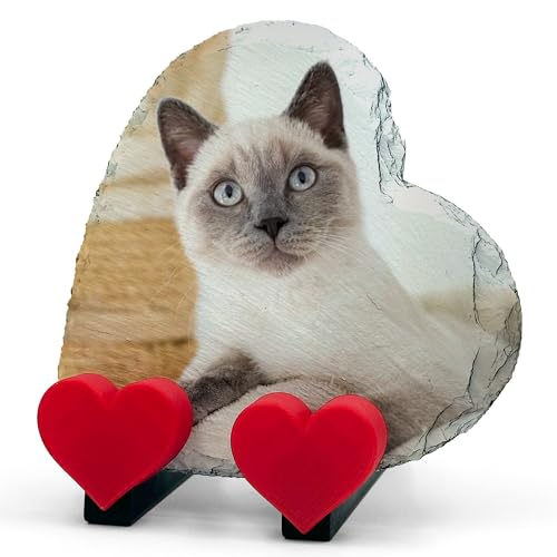 AIGAT Personalisierte Benutzerdefinierte Herzform Gedenktafel mit Herz Stehen für Haustier Katze Hund - Volldruck Horizontal - Größe 10x10 cm von AIGAT