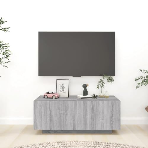 AIJUUKJP Furniture Home Tools TV Schrank Grau Sonoma 100x35x40 cm Holzwerkstoff von AIJUUKJP