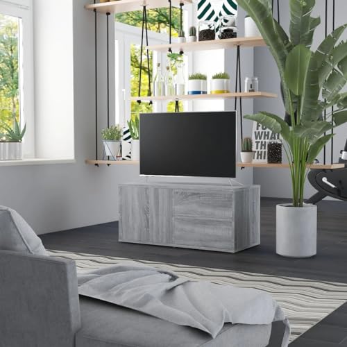 AIJUUKJP Furniture Home Tools TV Schrank Grau Sonoma 80x34x36cm Holzwerkstoff von AIJUUKJP