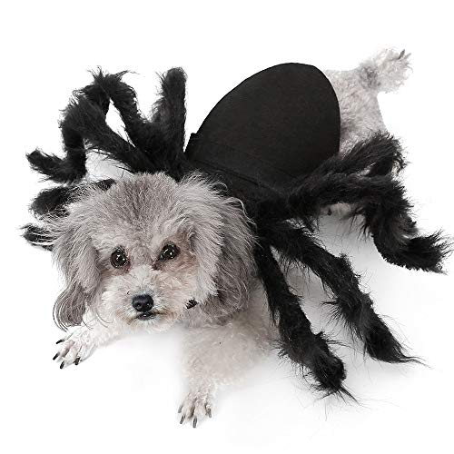 Haustier Kleidung, Spinne Cosplay Haustier Kostüm für Katze Hund,Spinne Fledermaus Rollenspiele Anzieh Kleidung für Party Weihnachten Halloween von AILOVA