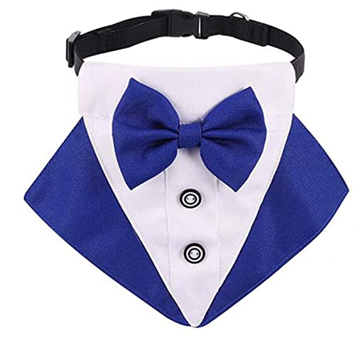 Formales Hunde-Smoking-Bandana-Hundehochzeits-Bandana-Halsband Hundehalsband mit Fliege Verstellbares Hundefliege-Halsband Bandana für kleine mittelgroße Hunde (Blau, S) von AIMICOCA