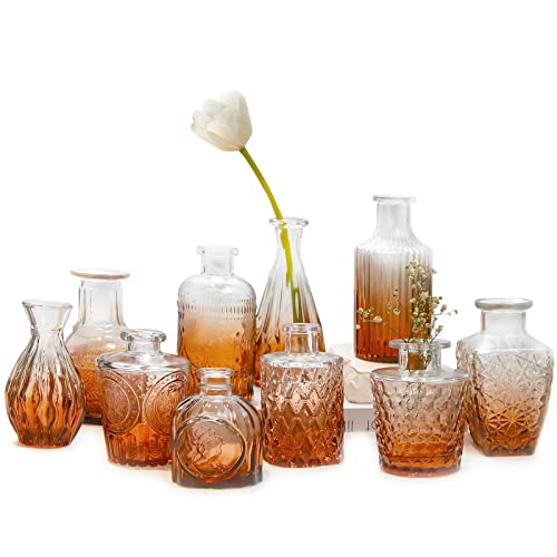 Kleine Vasen 10 Stück Mini Vasen Glas Blumenvase Klein Vasen Set Verschiedene Groessen Für Tischdeko Home Hochzeit Dekoration (10 Stück, Bernstein) von AIMKAP