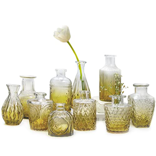 Kleine Vasen 10 Stück Mini Vasen Glas Blumenvase Klein Vasen Set Verschiedene Groessen Für Tischdeko Home Hochzeit Dekoration (10 Stück, Grün) von AIMKAP