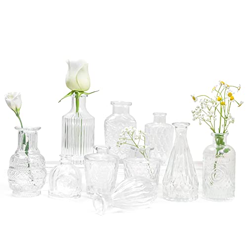Kleine Vasen 10 Stück Mini Vasen Glas Blumenvase Klein Vasen Set Verschiedene Groessen Für Tischdeko Home Hochzeit Dekoration (10 Stück, Transparent) von AIMKAP