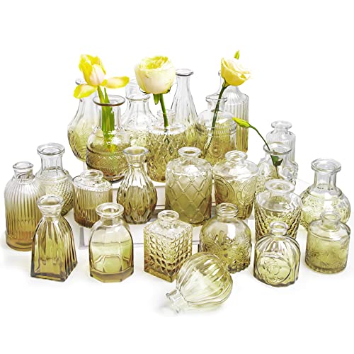 Kleine Vasen 24 Stück Mini Vasen Glas Blumenvase Klein Vasen Set Verschiedene Groessen Für Tischdeko Home Hochzeit Dekoration (24 Stück, Grün) von AIMKAP