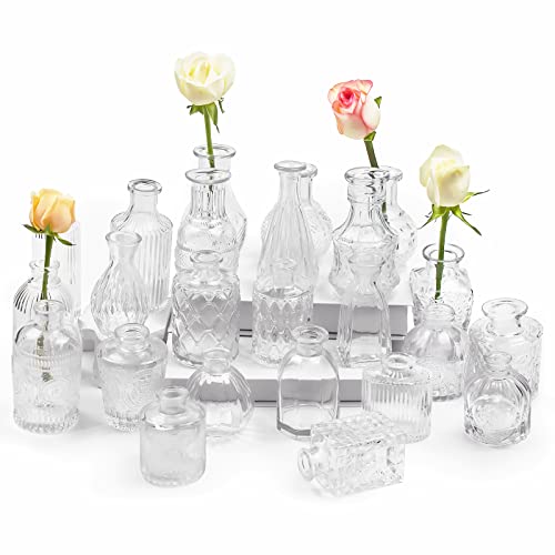 Kleine Vasen 24 Stück Mini Vasen Glas Blumenvase Klein Vasen Set Verschiedene Groessen Für Tischdeko Home Hochzeit Dekoration (24 Stück, Transparent) von AIMKAP