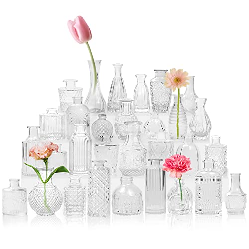 Kleine Vasen 30 Stück Mini Vasen Glas Blumenvase Klein Vasen Set Verschiedene Groessen Für Tischdeko Home Hochzeit Dekoration (30 Stück, Transparent) von AIMKAP