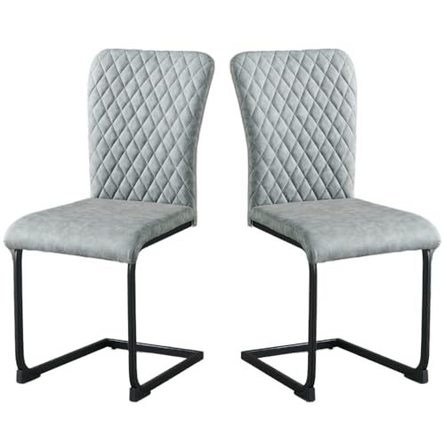 AINPECCA 2 Stück Freischwinger Schwingstuhl Esszimmerstühle mit Kunstleder Hohe Rückenlehne, Metallgestell, Küchenstuhl, Wohnzimmerstuhl, Bürostuhl(2, PU Grau) von AINPECCA