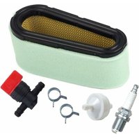 496894 Luftfilter- und Vorfilter-Kit für Briggs & Stratton 12,5-17 ps 494768 Rasenmäher von AIPERQ