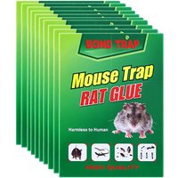 Aiperq - Starke klebrige Rattenbretter Haushaltsmausefalle Mausefalle Artefakt Rattenbrett Mausefalle Kleber von AIPERQ