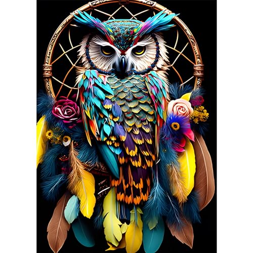 AIRDEA DIY Eule Diamond Painting Set Erwachsene Kinder, Diamant Painting Bilder 5D Bunte Eule Diamant Kunst Traumfänger Diamant Malerei Set Cross Stickerei Malerei Kits für Heimdekor 30x40 cm von AIRDEA