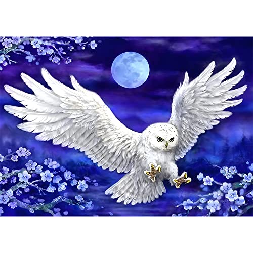 AIRDEA DIY Schneeeule Diamond Painting Set Erwachsene,Tier Diamant Painting Bilder 5D Mond Eule Diamant-Kunst Kits für Kinder Blumen Diamant Malerei Set Kreuzstich Malen Nach Zahlen Kits 30x40cm von AIRDEA