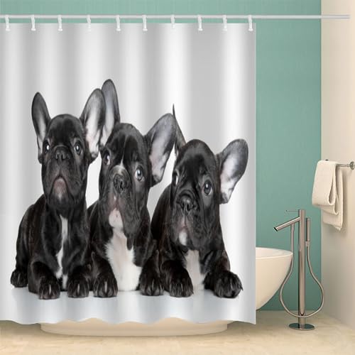 AIREBE Französische Bulldogge Duschvorhang 180x200cm, Hund Schwarz Anti-Schimmel Duschvorhänge, Waschbar Schwer Stoff Polyester Duschrollo für Badewanne mit 12 Duschvorhang Hake von AIREBE