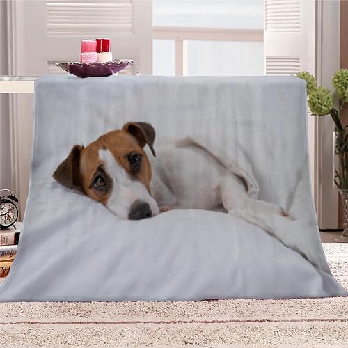 Jack Russell Terrier Kuscheldecke Flauschig 130x150 Weichl Warm Microfaser Fleecedecke Decke, Hund Tier 3D Printed Personalisierte Flanel Decke Für Sofa/Bett/Camping/Garten von AIREBE