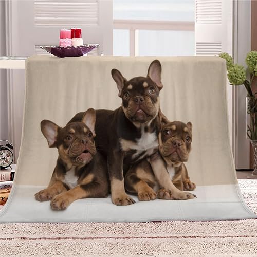 Kuscheldecke Sofa Fleece Decke Französische Bulldogge Bett Wohndecken Decke 150x200cm, Weiche Warm Kuscheldecke Flauschig Tiere Hunde Erwachsene Wohndecken Geschenke für Frauen von AIREBE