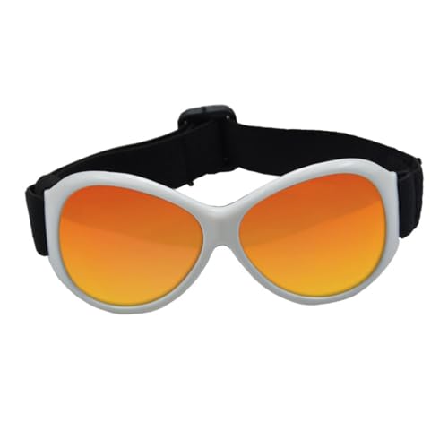 Winproof DogsSuitable for Large Dogs Pet Glasses for Snow Beach Outdoor Snow Sports Eye Wear von AIRHSKWI