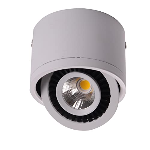 AIRTWESD 7W Schwenkbar LED Deckenleuchte Winkel des Lampenkörpers einstellbar Spots COB Modul 3000K Warmweiß (Mit Lichtquelle) von AIRTWESD