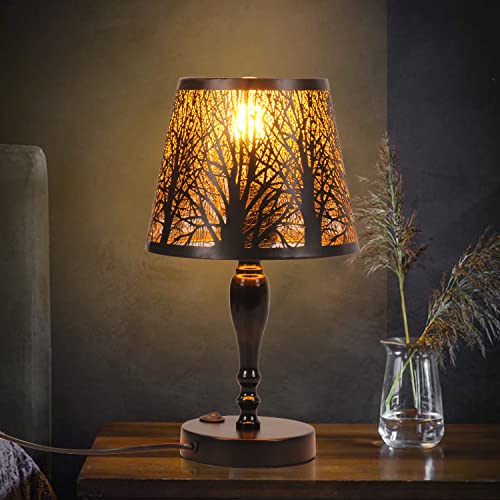 AIRTWESD Industrielle Tischlampe aus Metall, E27 rustikale Schreibtischlampe mit käfigförmigem Schirm, Vintage Edison Nachttischlampe für das Wohnzimmer, mit Schalter (No Bulb) von AIRTWESD