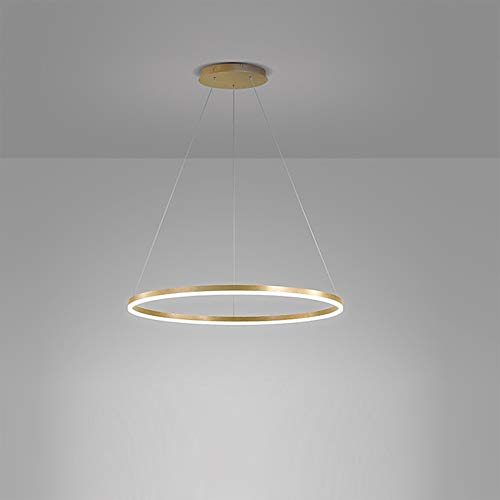 AIRUI 1-Licht Single Circle Pendelleuchte Nordic Modern Ring Lüster Abgehängt Verstellbar LED Hängelampe Für Wohnzimmer Schlafzimmer Esszimmer,Gold+Cold White-80CM 50W von AIRUI