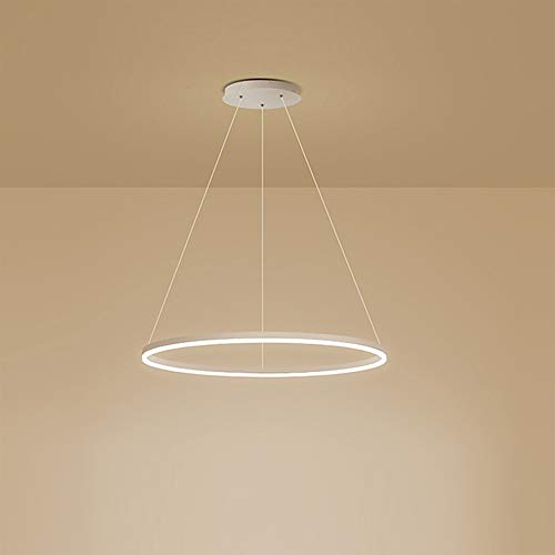AIRUI 1-Licht Single Circle Pendelleuchte Nordic Modern Ring Lüster Abgehängt Verstellbar LED Hängelampe Für Wohnzimmer Schlafzimmer Esszimmer,White+Cold White-40CM 25W von AIRUI