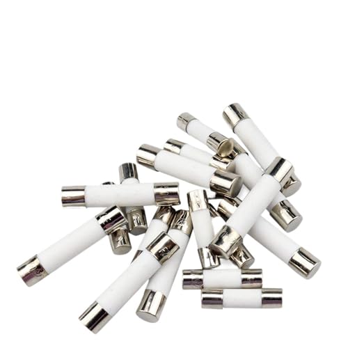 AIRUIXI Keramik-Sicherung 10 Teil/los 5 * 20mm 6 * 30mm Flinke Rohrsicherungen 250 V 0.1A 0.2A 0.3A 0.4A 0.5A 0.63A 0.75A 0.8A 1A AMP Sicherung Keramiksicherung(0.3A) von AIRUIXI