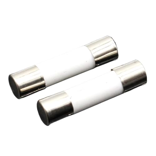 AIRUIXI Keramik-Sicherung 10 stücke Keramik Sicherung 5mm x 20mm Langsam Schlag T 0,5A 1A 2A 3A 4A 5A 6A 8A 10A 13A 15A 16A 20A 250V(20A) von AIRUIXI