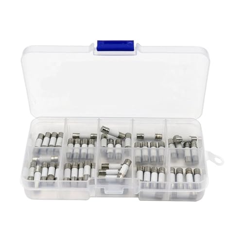 AIRUIXI Keramik-Sicherung 100 STÜCKE Keramiksicherungen Set In Box Träge 5x20mm T 1A 2A 3.15A 4A 5A 6A 8A 10A 12A 15A/250 V 5 * 20 Schutzversicherungsrohrsatz von AIRUIXI